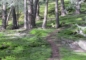 Hiking Trail